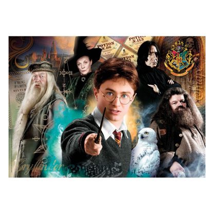 Harry Potter Puzzel Harry op Hogwarts 500 stks